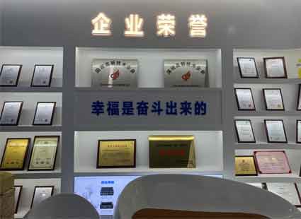 ИВИЛЛ Хонор